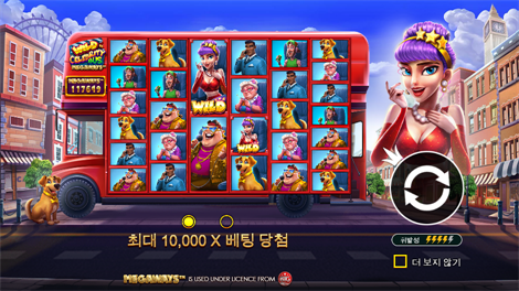 스타 파이리츠 코드