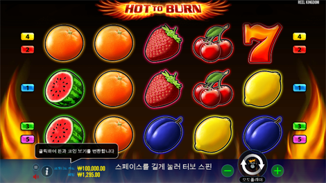 피라미드 킹