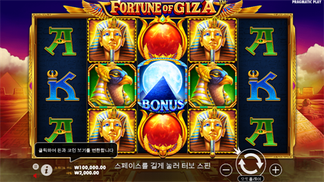 와일드 워커