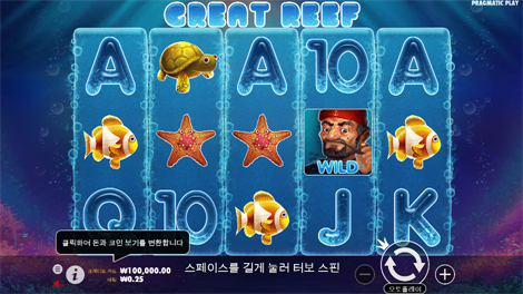 피라미드 보난자