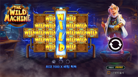 와일드 글래디에이터즈