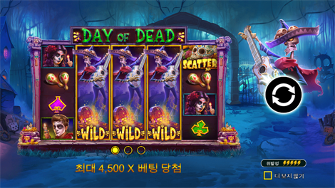 스위트 보난자 다이스