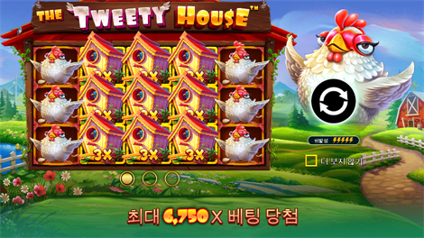 와일드맨 슈퍼 보난자