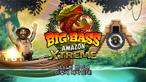 캐쉬 박스