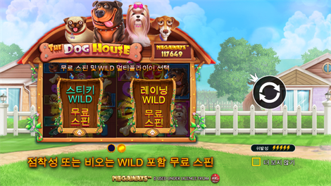 와일드 셀러브리티 버스 메가웨이즈