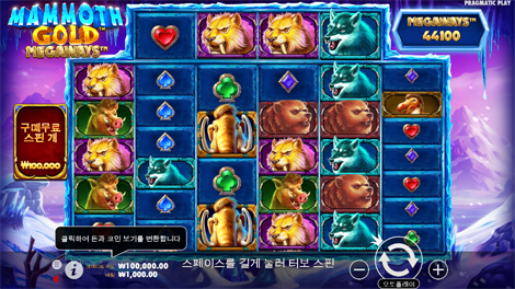 판다 포춘